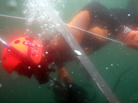 潜水訓練中はしごをくぐる潜水士